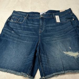 Lane Bryant / Women’s Shorts / Size: 24